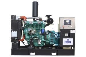 Дизельный генератор Fregat АД-60 с АВР  фото