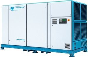 Винтовой компрессор KRAFTMANN TAURUS 250 10 фото