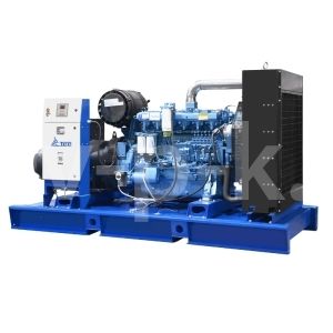 Дизельный генератор ТСС АД-250С-Т400-1РМ9 с АВР 016981 фото