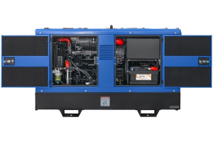 Дизельный генератор ТСС DUAL DWG-500 039736 фото