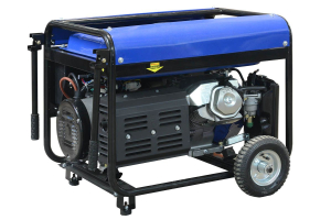 Бензиновый генератор ТСС PRO GGW 3.0/250E-R 022832 для газового котла фото