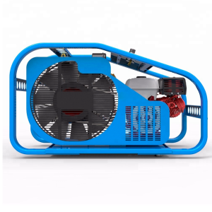 Поршневой компрессор Frosp КВД 200/300Д фото