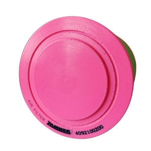 Воздушный фильтр 4092100200 Ф фото